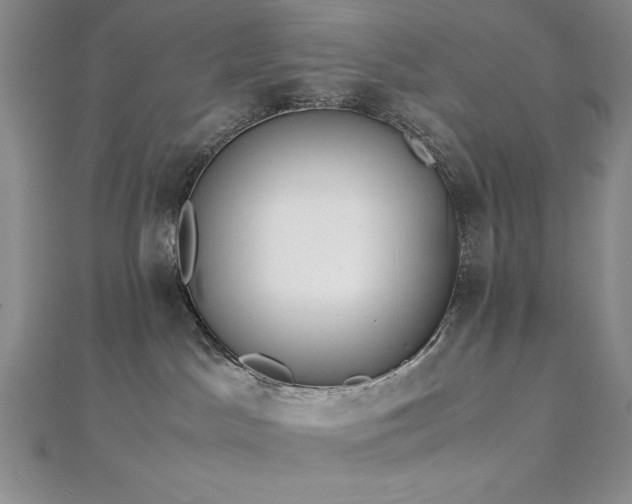 X0000113170045200909041331