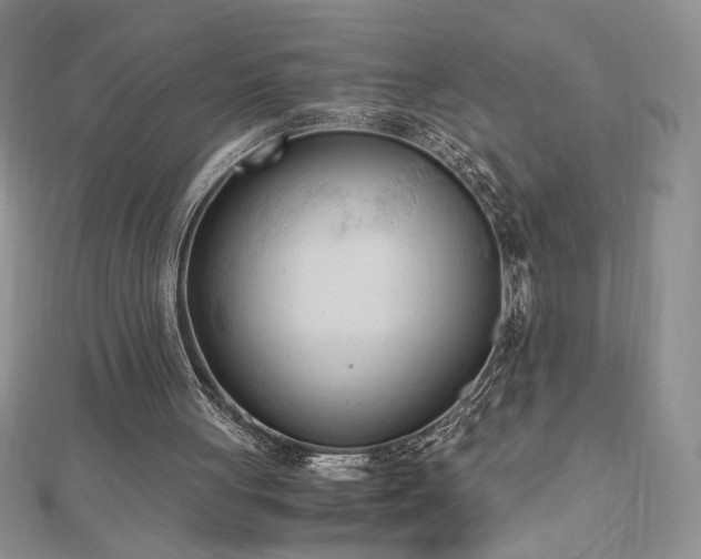 X0000113170051200909041331