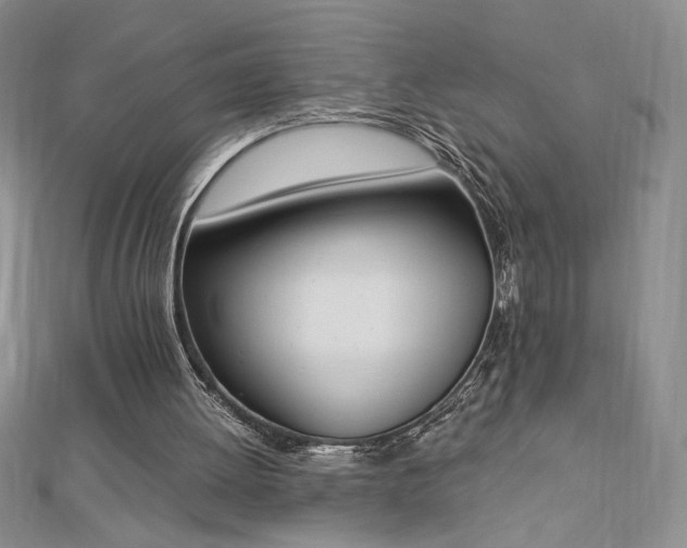 X0000113170052200909041331