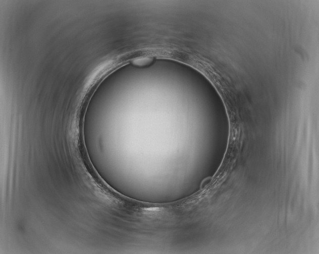 X0000113170053200909041331