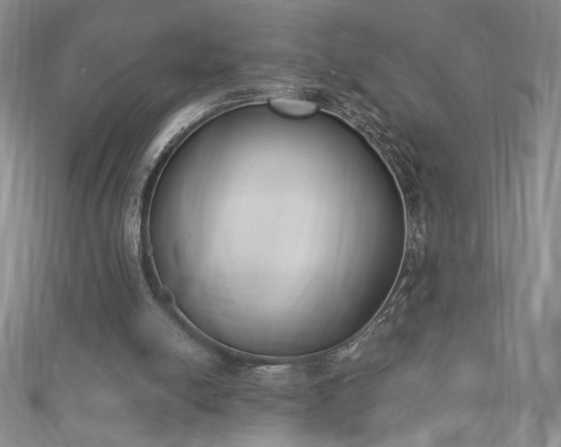 X0000113170054200909041331
