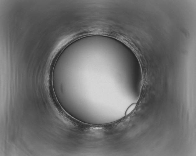 X0000113170055200909041331