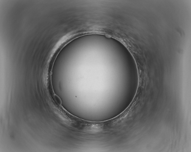 X0000113170056200909041331