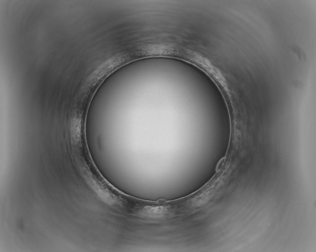 X0000113170057200909041331