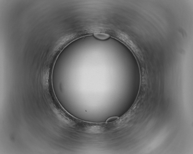 X0000113170058200909041331