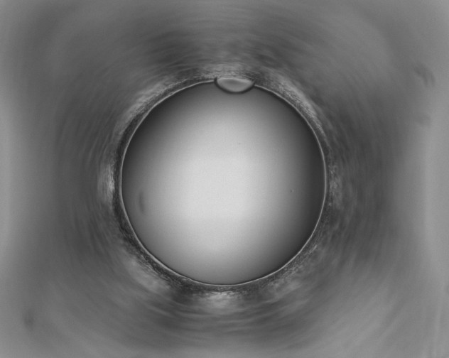 X0000113170059200909041331
