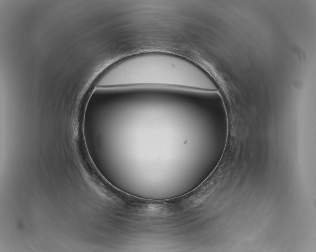X0000113170060200909041331