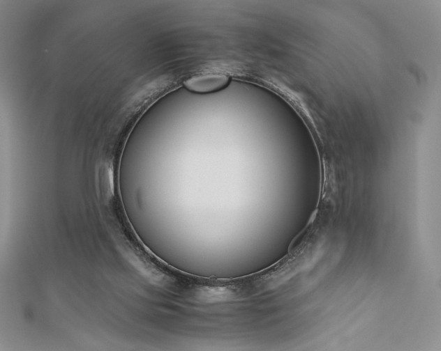 X0000113170061200909041331