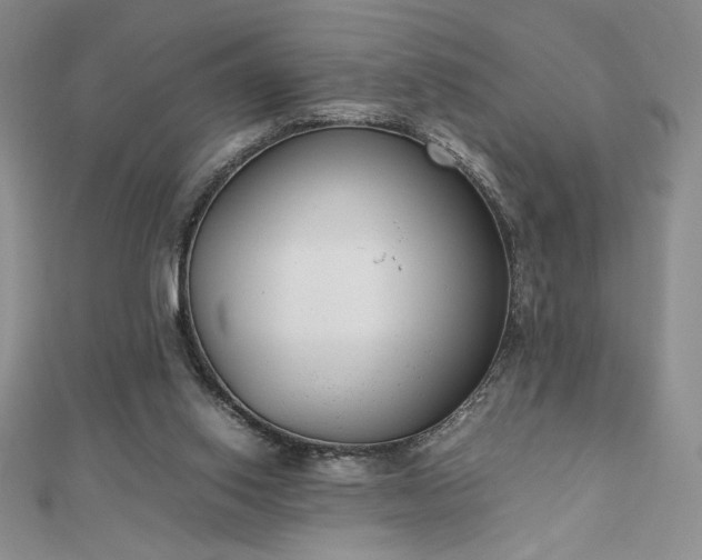 X0000113170062200909041331