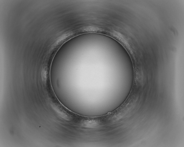 X0000113170063200909041331