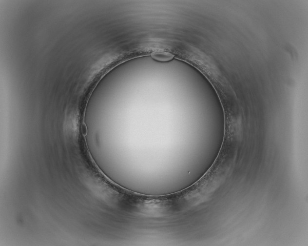 X0000113170064200909041331