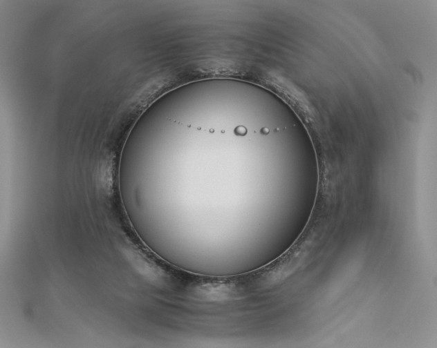 X0000113170065200909041331