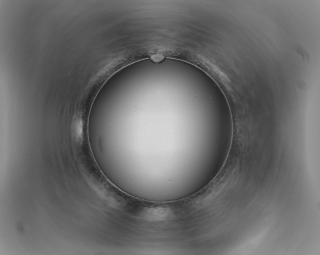 X0000113170067200909041331