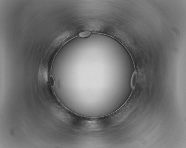 X0000113170068200909041331