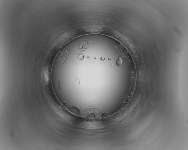 X0000113170069200909041331