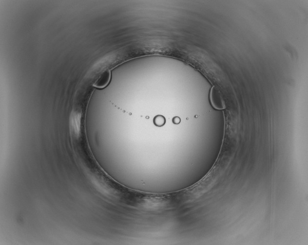 X0000113170070200909041331