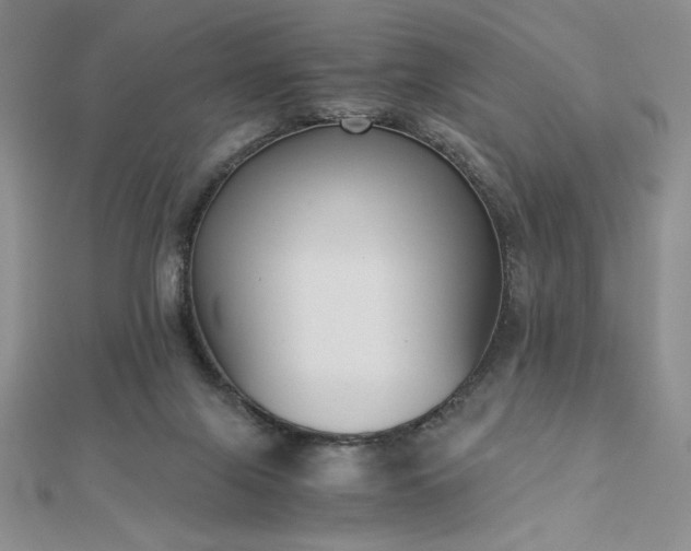 X0000113170071200909041331