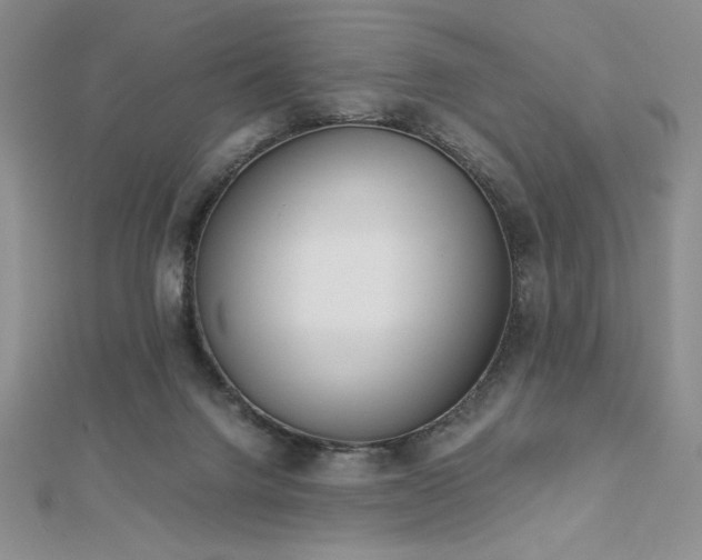 X0000113170072200909041331