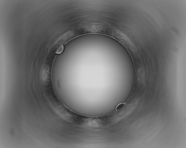 X0000113170073200909041331