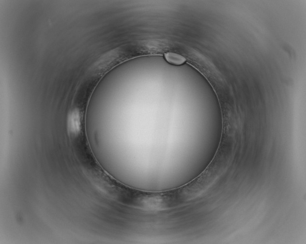 X0000113170075200909041331