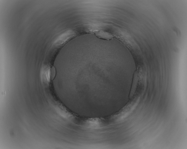 X0000113170076200909041331