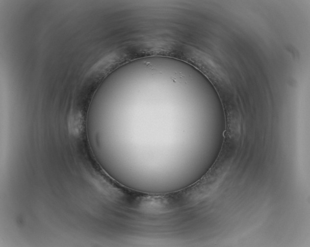 X0000113170077200909041331