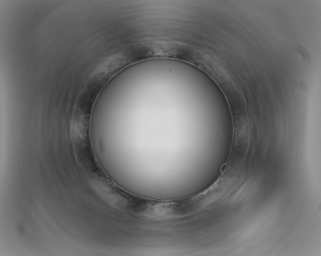 X0000113170078200909041331