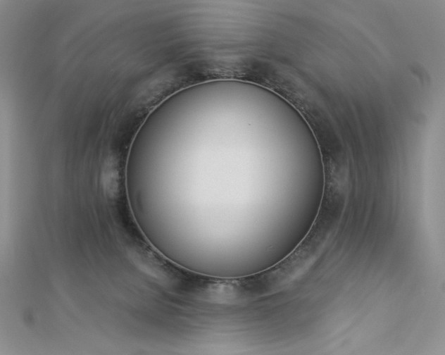X0000113170080200909041331