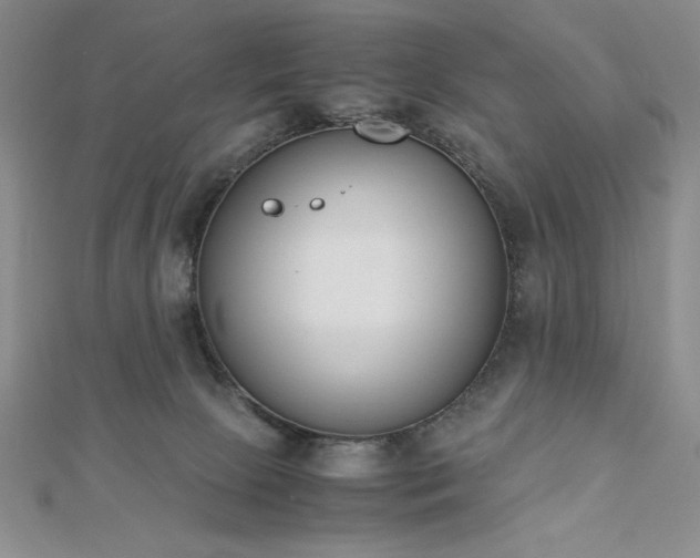 X0000113170081200909041331