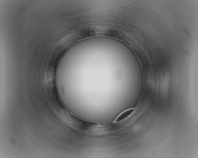 X0000113170082200909041331
