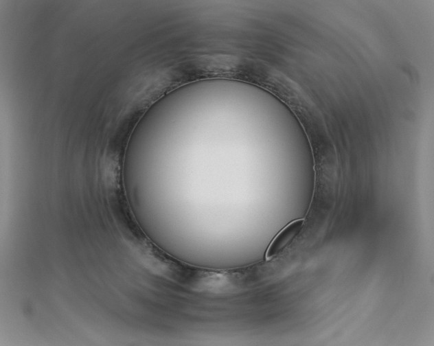 X0000113170083200909041331