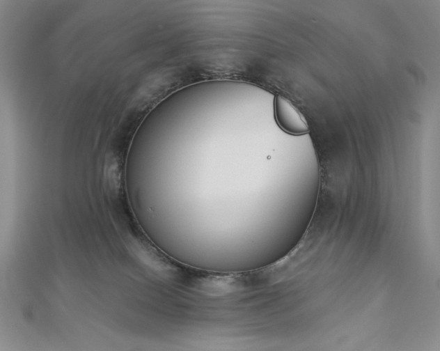 X0000113170086200909041331