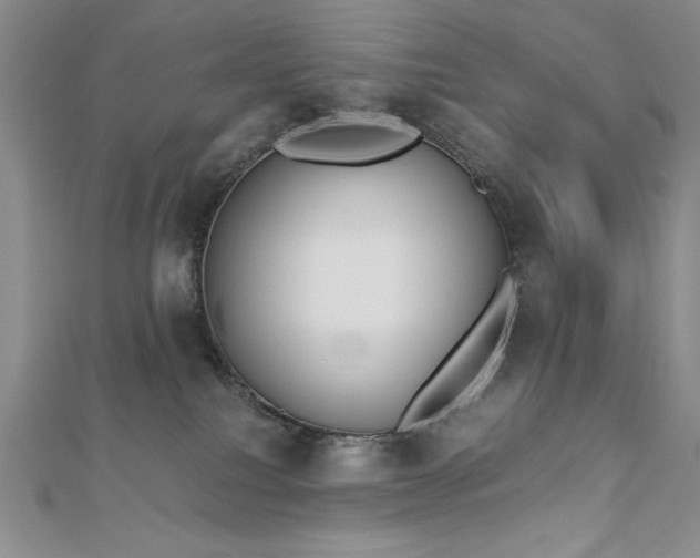 X0000113170088200909041331