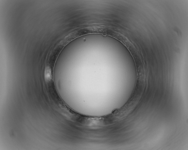 X0000113170089200909041331