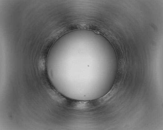 X0000113170090200909041331
