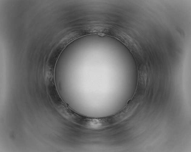 X0000113170091200909041331