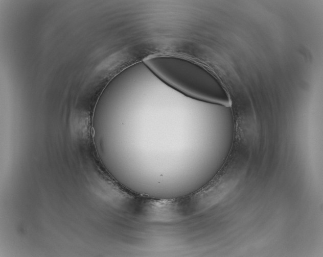 X0000113170092200909041331