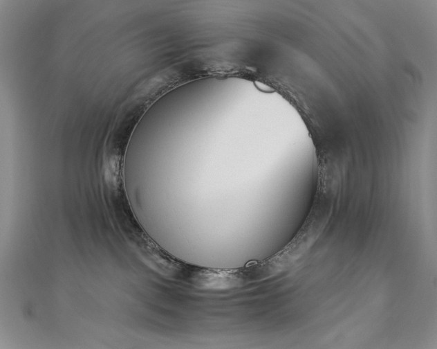 X0000113170093200909041331