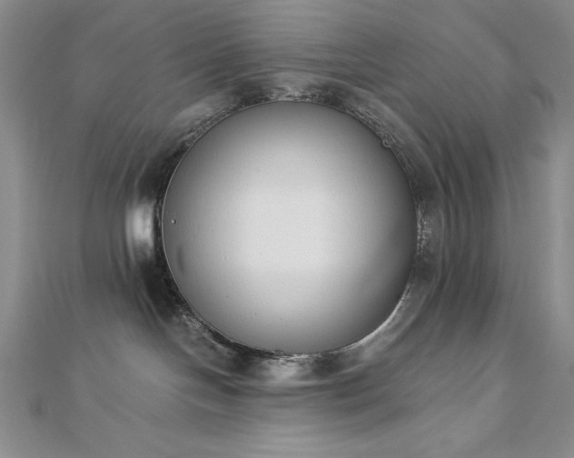 X0000113170094200909041331