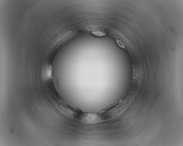 X0000113170095200909041331