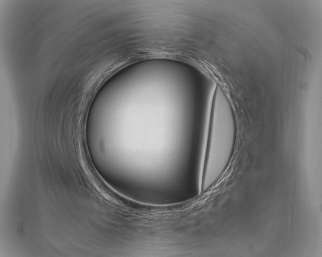 X0000113170097200909041330