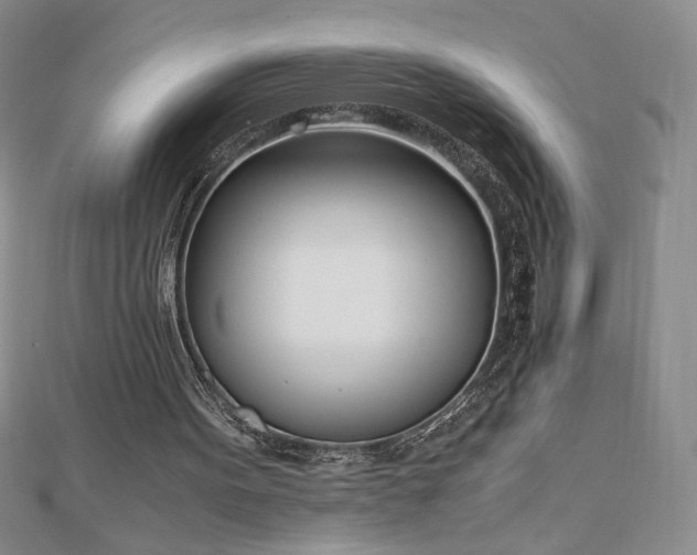 X0000113170099200909041330