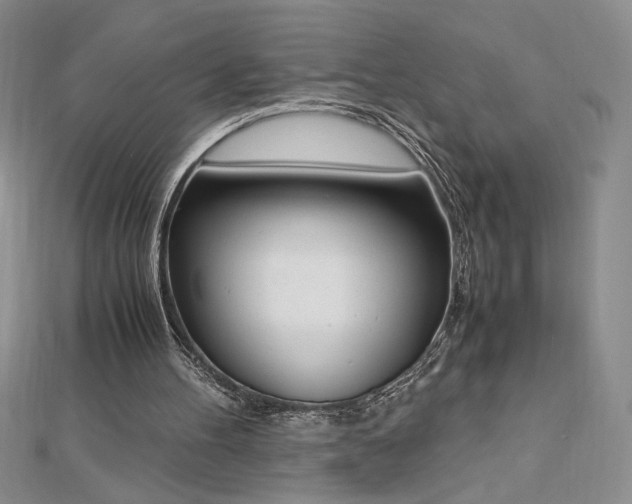 X0000113170100200909041330