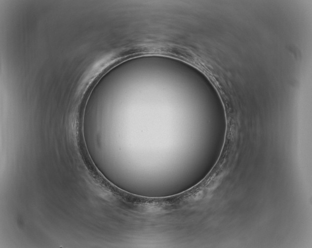 X0000113170103200909041330