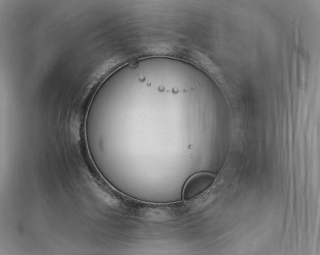 X0000113170106200909041330