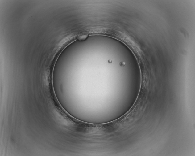 X0000113170107200909041330