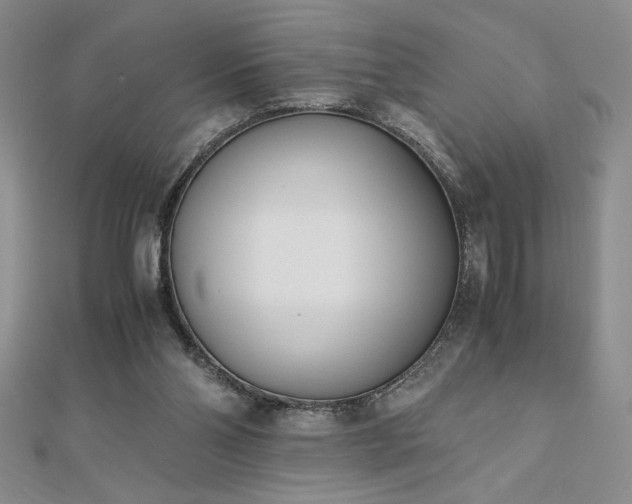 X0000113170110200909041330