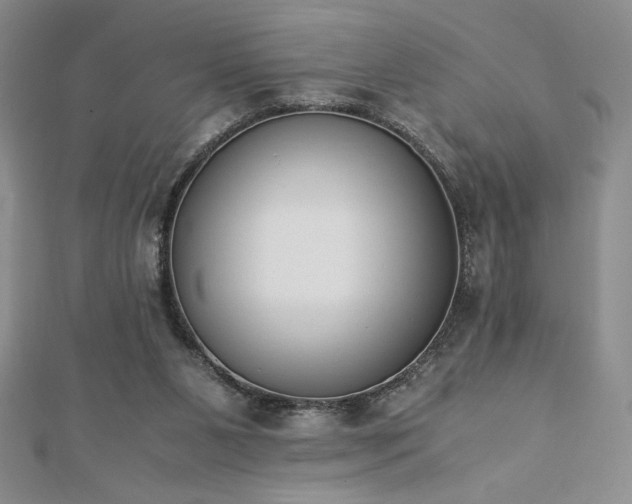 X0000113170111200909041330