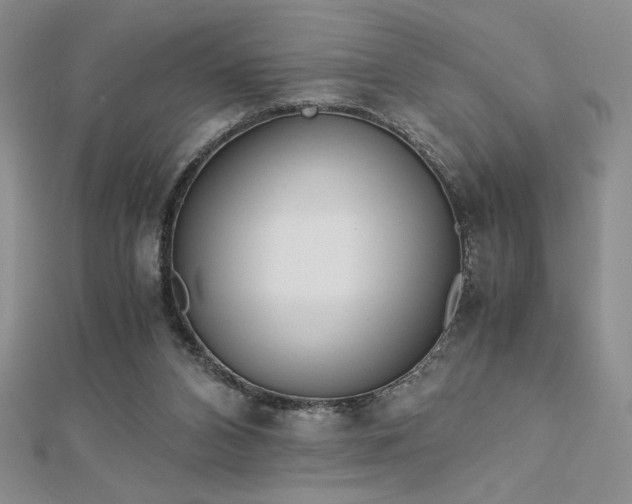 X0000113170112200909041330