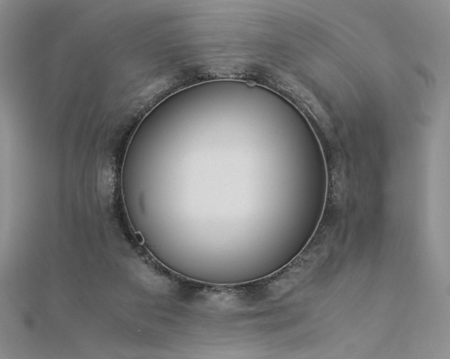 X0000113170113200909041330